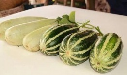 qq网红群吃瓜,一场吃瓜盛宴背后的网络生态