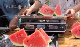 娱乐吃瓜酱重庆山东,揭秘重庆与山东的美食文化碰撞