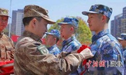 网红当兵爆料视频播放,视频播放量爆表引网友热议