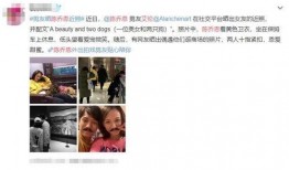 艾伦爆料心脏病视频全集,全程回顾与深度分析