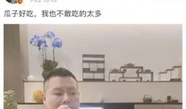 吃娱乐圈的瓜啥意思,吃娱乐圈的瓜，揭秘明星幕后故事